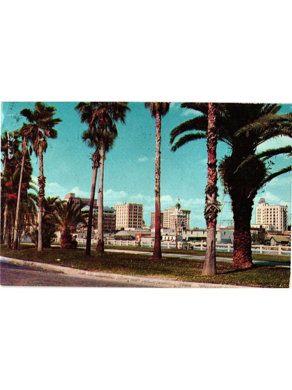Palm Tree Drive Tampa Florida 1963 Linen Postcard Skyscrapers Pre-Owned Posted